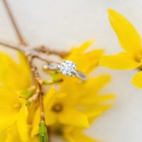 2023 Brides - Show us your ring! - 1