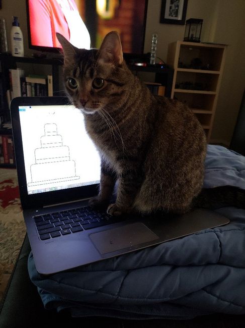 Animal Assistance :d - 1
