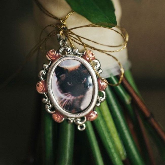 Involving your cat 3