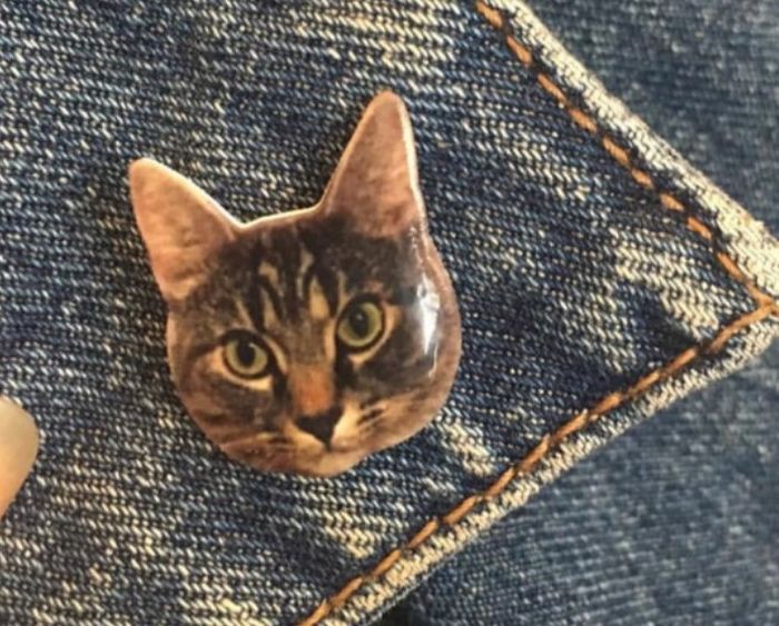 Involving your cat 4