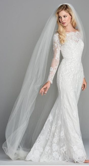 Cathedral length veil - 1
