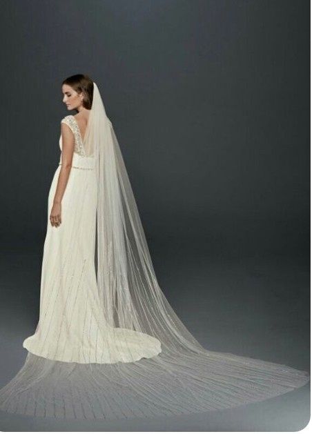 Cathedral length veil - 4