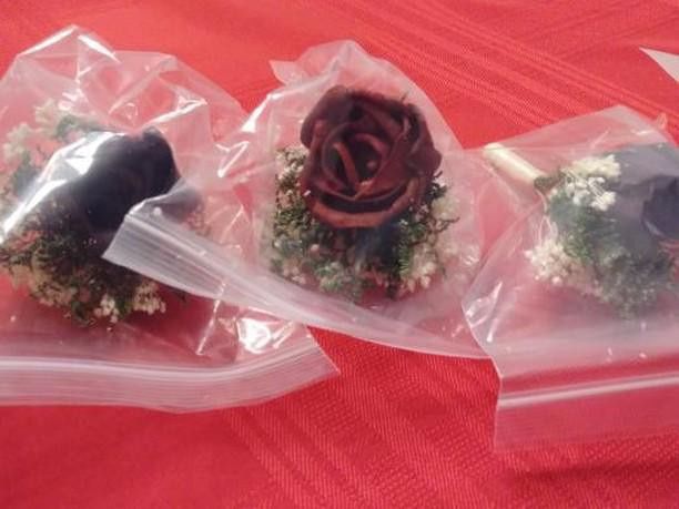 Sola Flowers! - 3