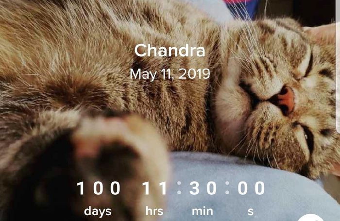 Double digits ya’ll - 1