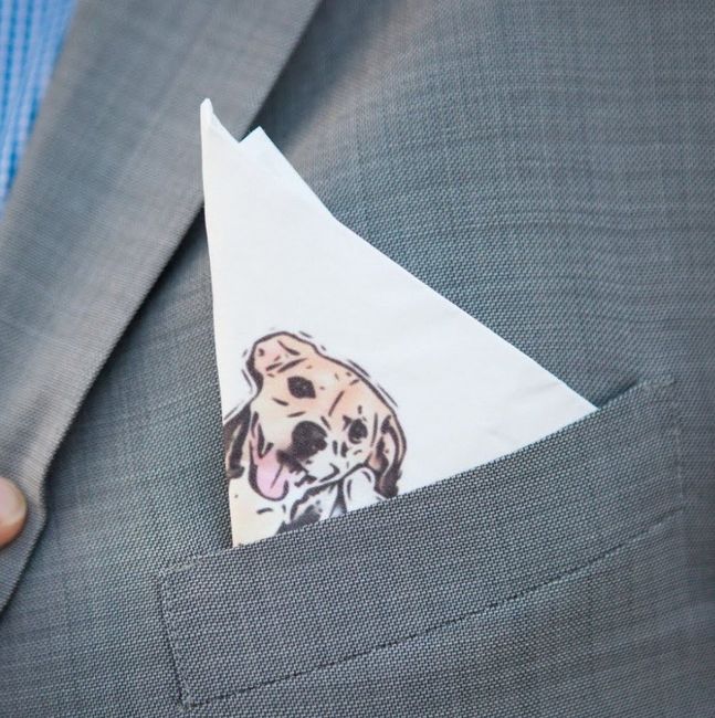 How to include my dogs without them being in my wedding - 1