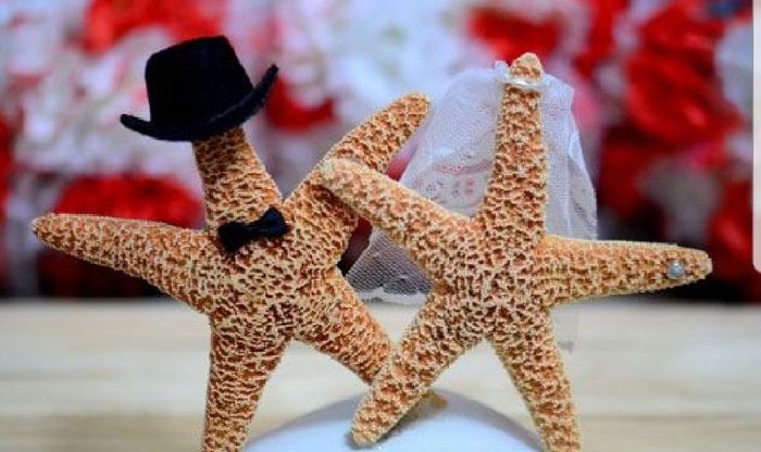 Cake Topper 2