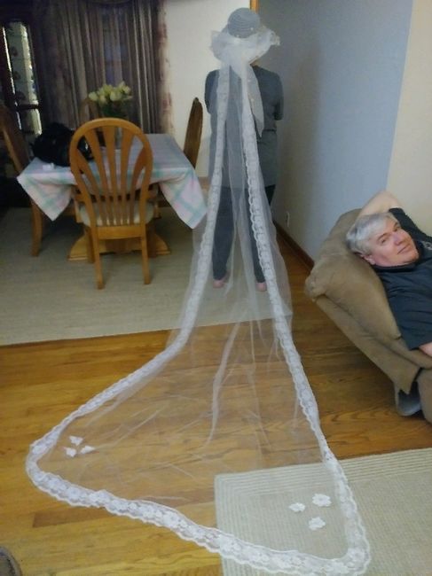 Show Me Your Veils! 2