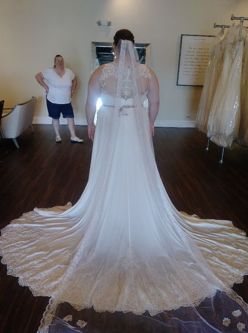 Show Me Your Veils! 3