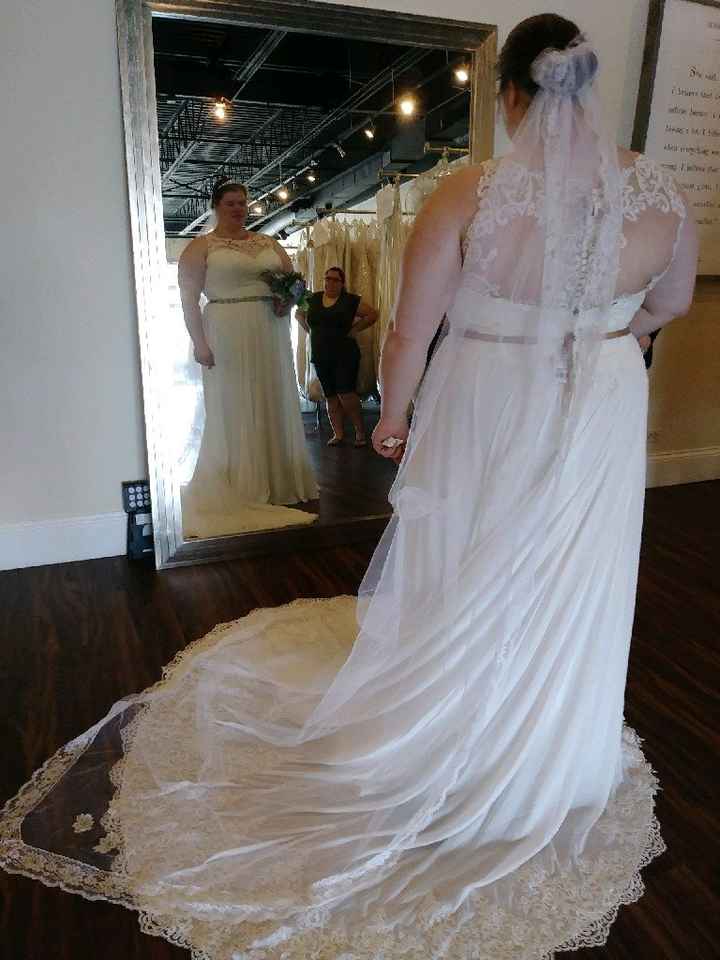 To Veil or not to Veil - 2