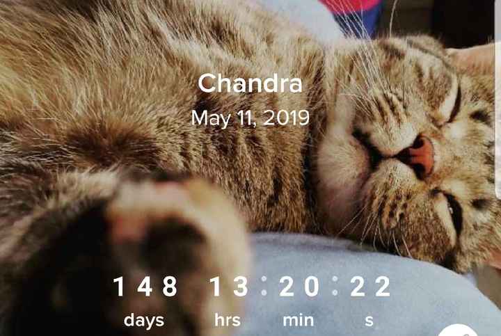 Double digits!!! - 1