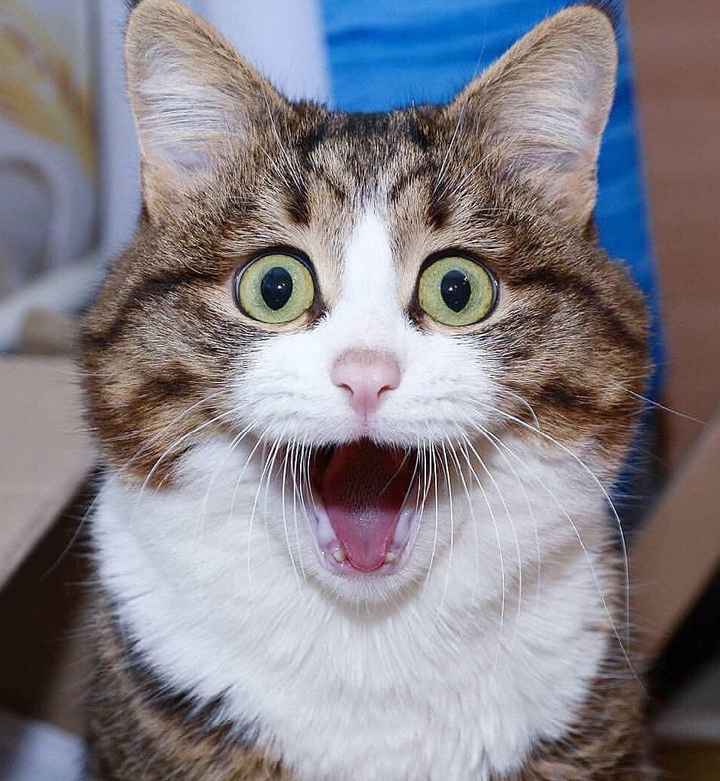 What are you most excited about? - 1
