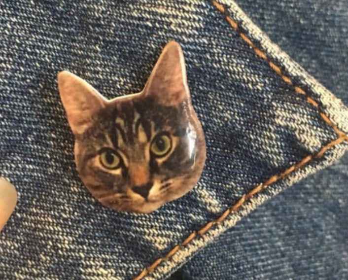 Involving your cat - 4