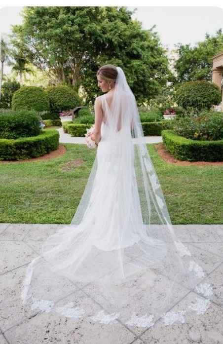 Cathedral length veil - 2