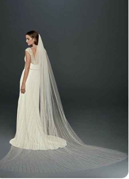 Cathedral length veil - 4