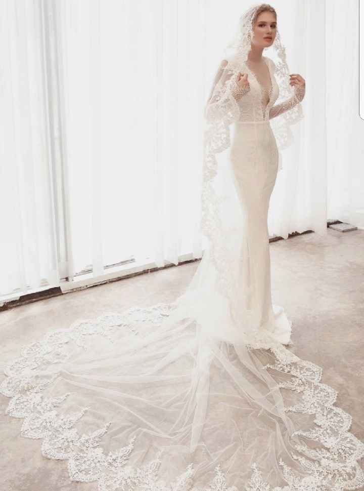 Cathedral length veil - 5