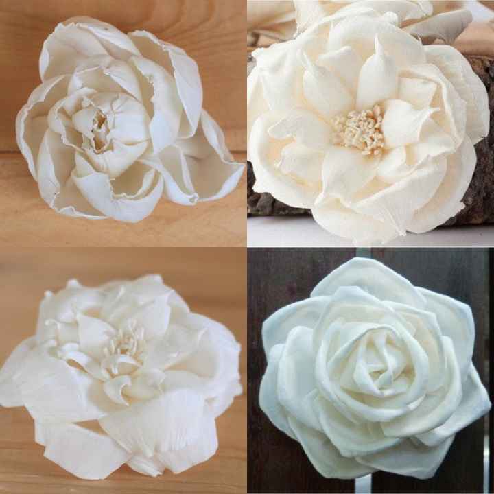 Flower Identification help! - 1