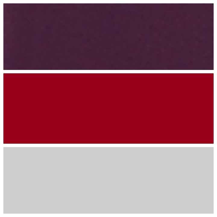 Spring brides! What are your wedding colors? - 1