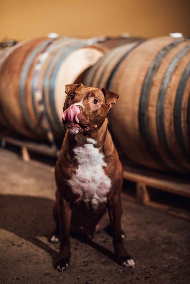 I'm thinking of adding this photo of him from out engagement shoot as well.