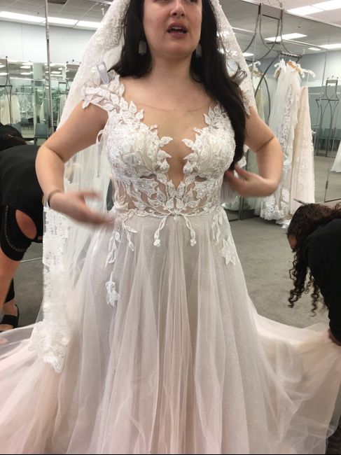 Help me pick a wedding dress! 2