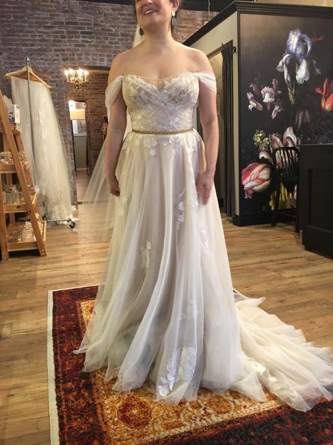 Help me pick a wedding dress! 1