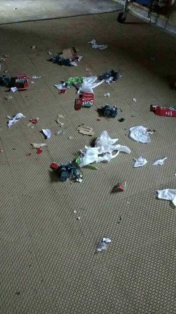 EDIT My Dogs DID NOT Eat My Decor.