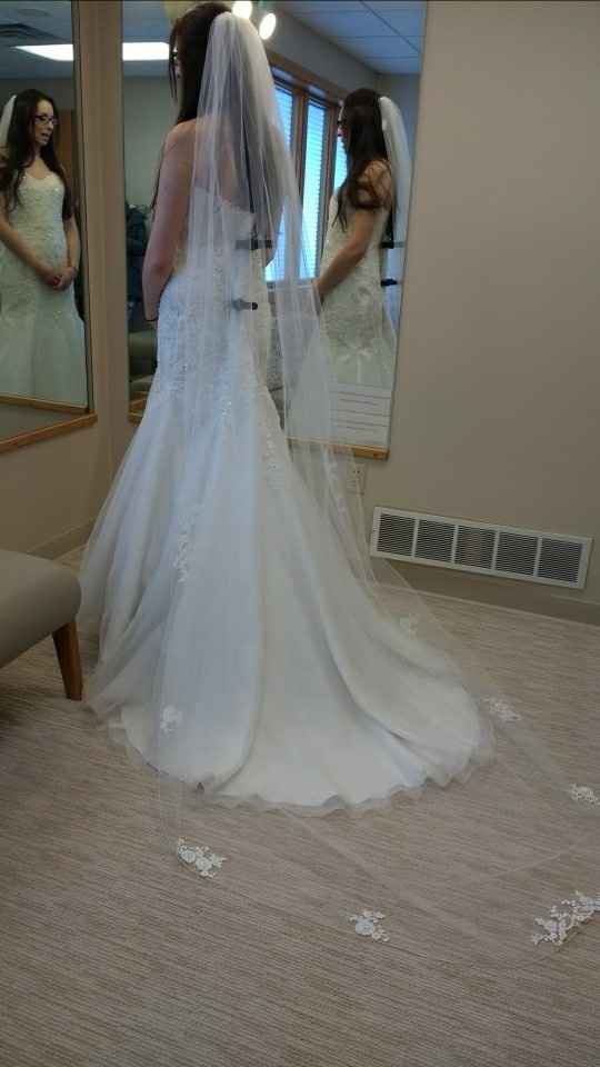 Can I see your veils???