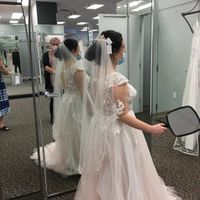 Help me pick a wedding dress! - 3
