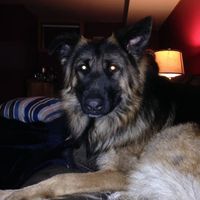 NWR: National Dog Day!