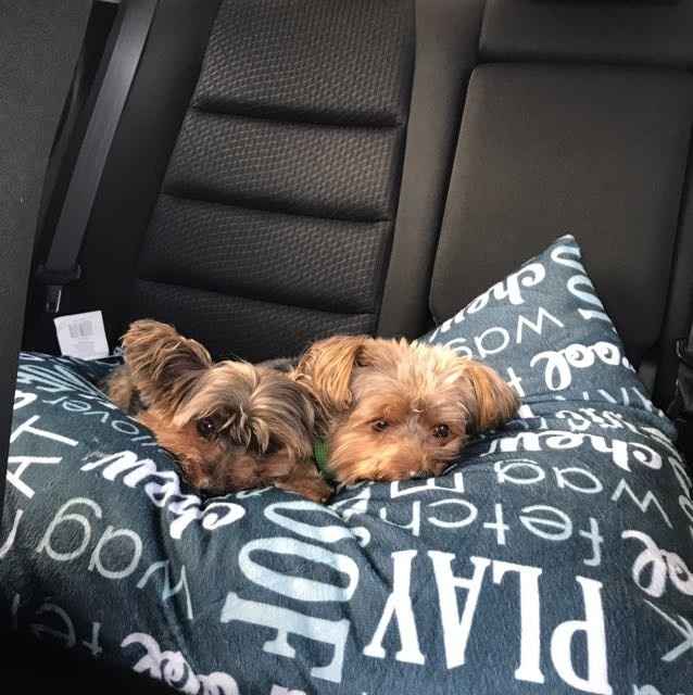 Nwr- show me your fur babies