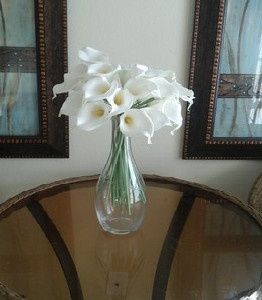 My 1st official purchase,  Real Touch flowers :) *pic*