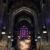 BAM - Pro Pics - A Few