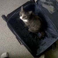 *NWR* Post pics of your furry (or not so furry) kids!