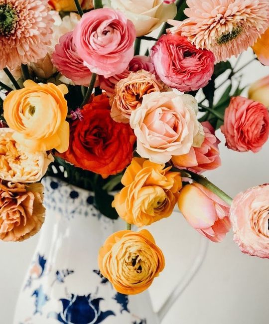 Color inspiration