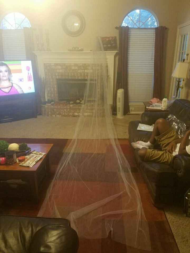 My veil came in today