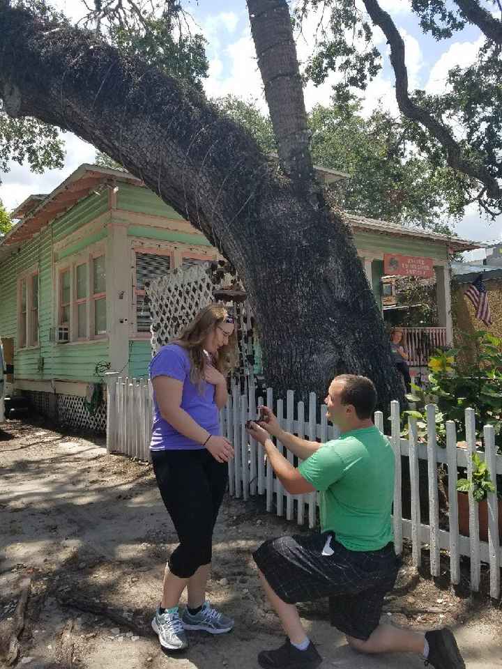 Engagement Ring Bliss - 1