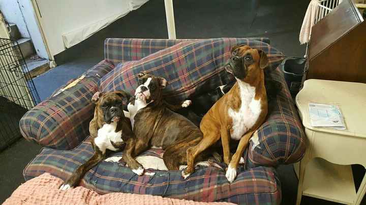 NWR, to cute not to share. *puppies*