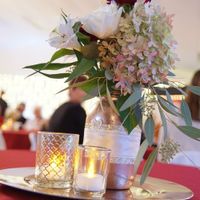 Pro Bam, Hutchins edition.