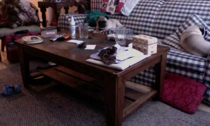 NWR: Pug Camera, anyone spy on their pets?