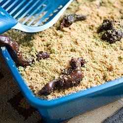I'm going to bake....