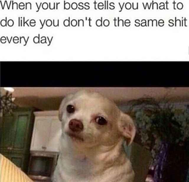 WW: Please welcome, Tickled Tuesday!