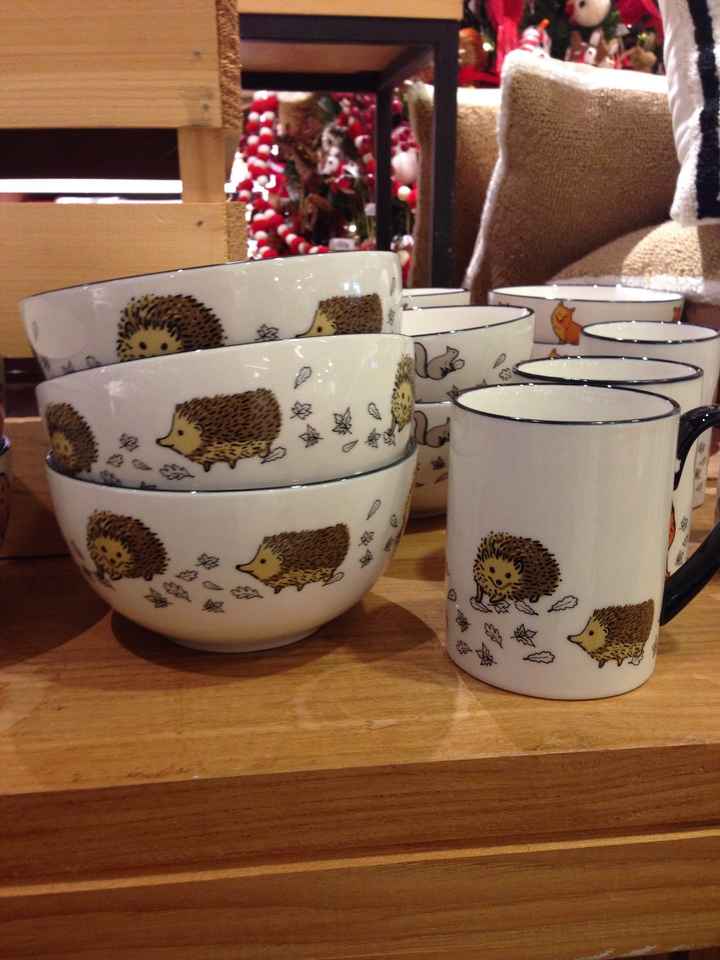 Hedgehog Happiness (OGRandi...this is for you and April!)