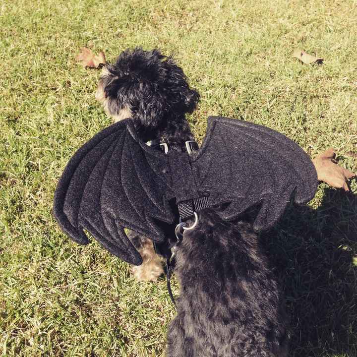 NWR: Share your creepy/ghost stories!