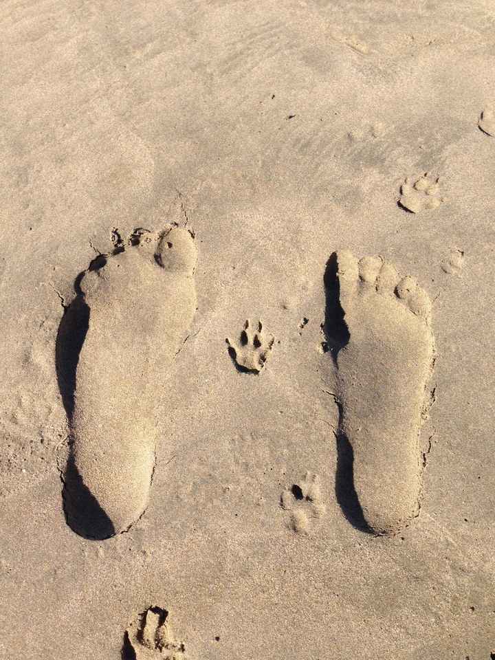 Back and....Anniversaried?? 10 Years!