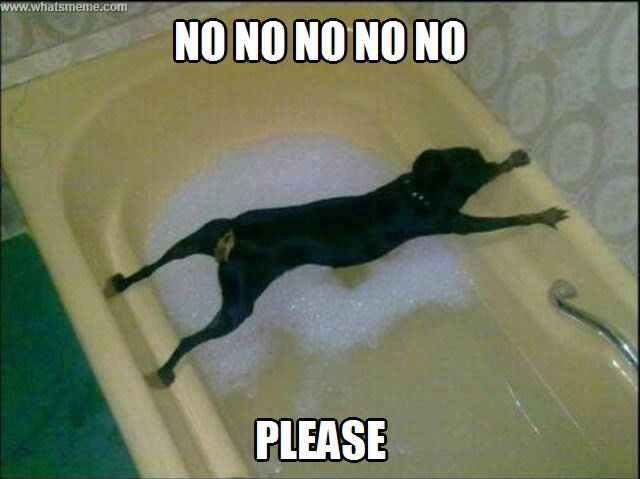 Chair cover. Yes or no?