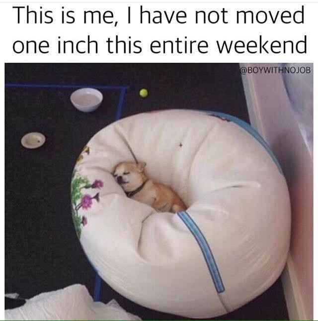 What did you accomplish this weekend?