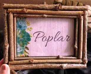 Anyone doing a rustic style? I need ideas for centerpieces please!