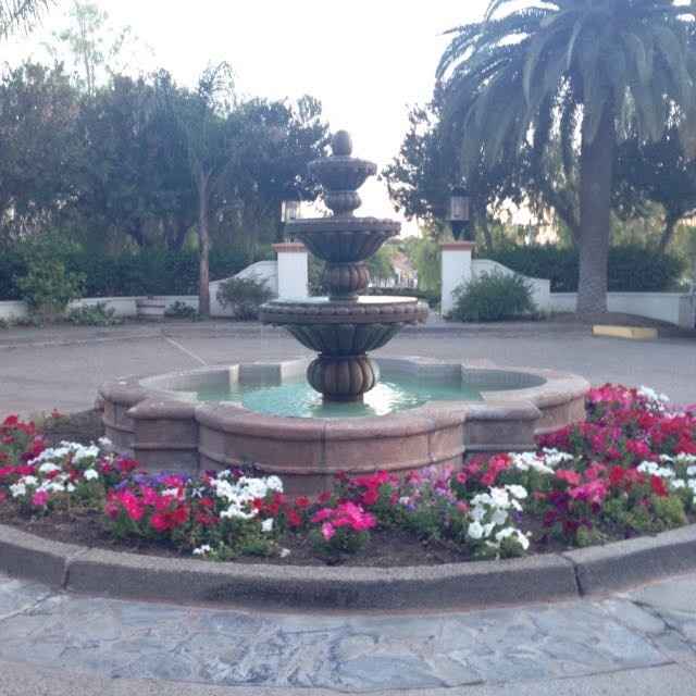 To arch or not to arch