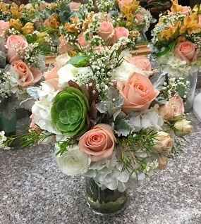 BAMMMM-alama-ding-dong!! Non Pro Pic Heavy!