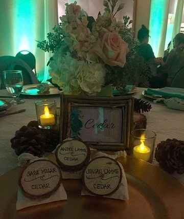 BAMMMM-alama-ding-dong!! Non Pro Pic Heavy!