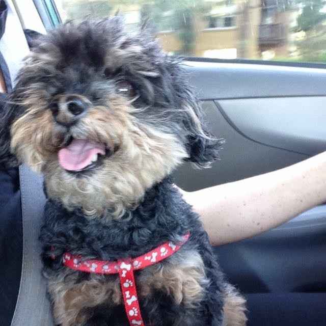 NWR:  Thursday Fursday